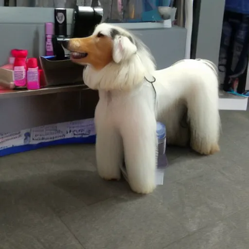 Image similar to bad dog grooming,