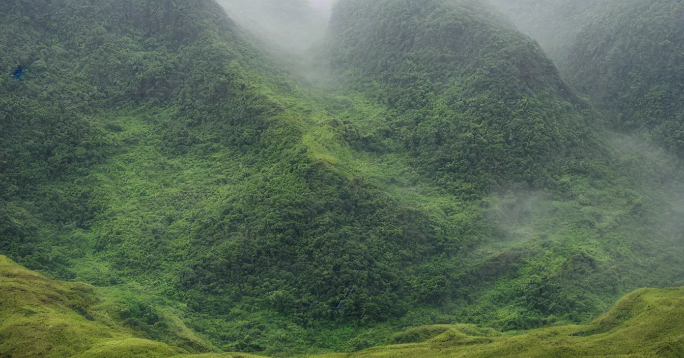 Prompt: deep erosion channels, landslide, green hills savanna tree, mountains background, early morning light fog, heavy grain, high quality,