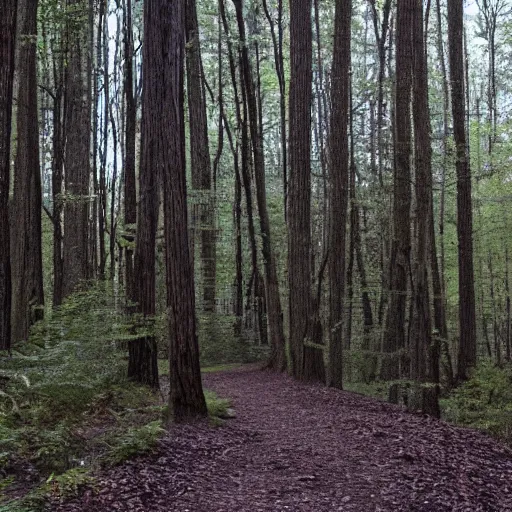 Prompt: Human nervous system spotted walking on its own in the woods, found footage, national reserve