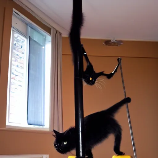 Prompt: poledancing black cat