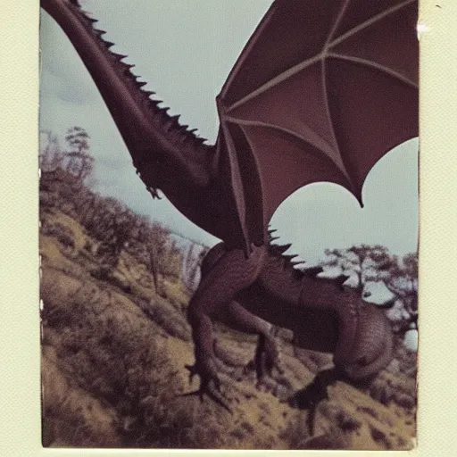 Image similar to polaroid of a dragon