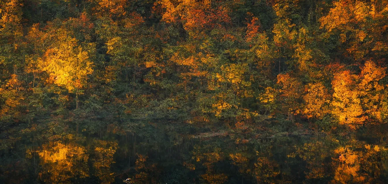 Prompt: sparse stone cottages underneath a dense tall forest, pristine ponds. fine painting intricate brush strokes, bright depth oil colors. 2 8 mm perspective photography by araken alcantara. intense promiseful happiness, autumn sunrise warm light. hopeful environment of bodyscapes