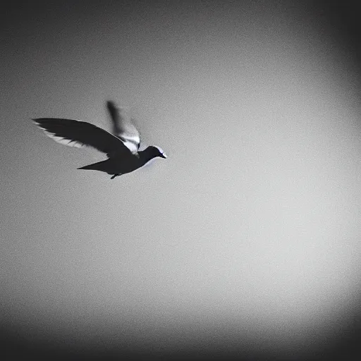 Image similar to a realistic photo of a dove flying in a completely black room, 8k, film grain, highly detailed