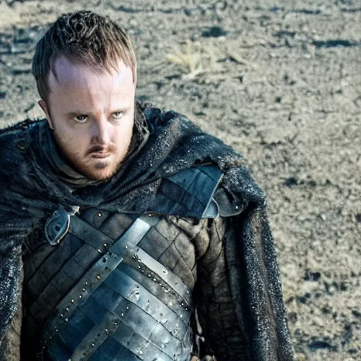 Image similar to still image of Jesse Pinkman played by Aaron Paul in Game of Thrones