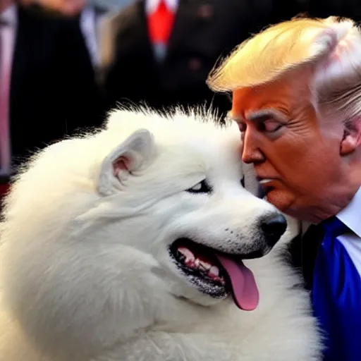 Image similar to donald trump petting samoyed dog,