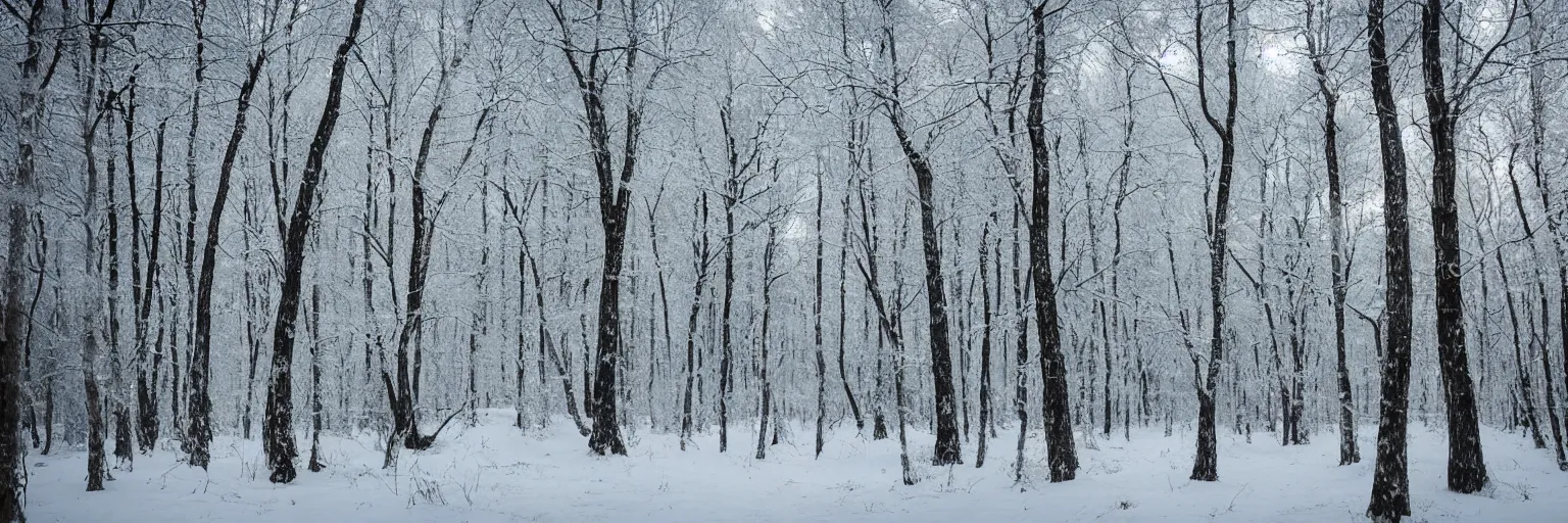 Image similar to russian snowy woodlands