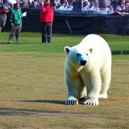 Image similar to a polar bear at the stanely cup