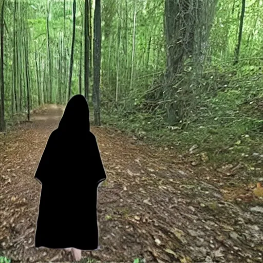 Image similar to bad quality screenshot of a leaked video of a small person dressed with a full body black robe following me through a forest trail, night time, bright camera flash, camera shaking, realistic, ultrarealistic, 4 8 0 p, scary