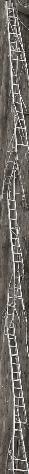 Prompt: a very tall ladder