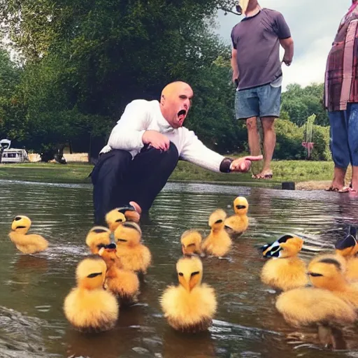 Prompt: how dare you a full grown man yelling at baby ducks