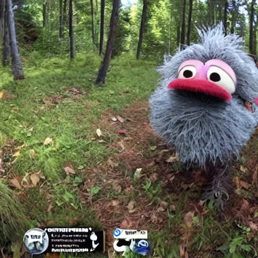 Image similar to trail cam footage of Grover the Muppet, Grover on video from a trail camera