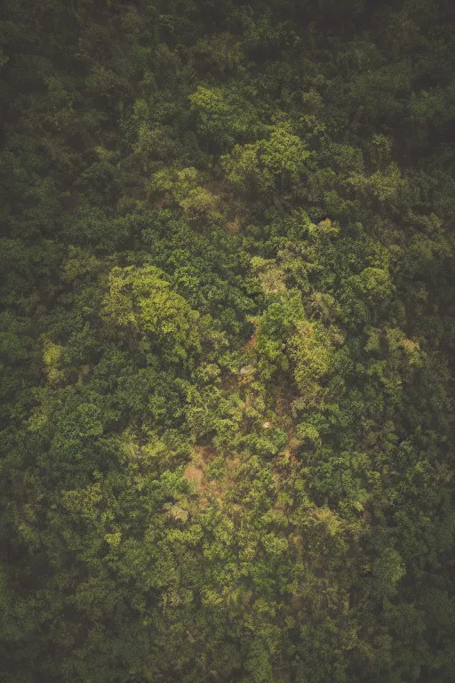 Image similar to agfa vista 4 0 0 photograph of aerial view of jungle in the middle of a desert, lens flare, moody lighting, moody vibe, telephoto, 9 0 s vibe, blurry background, grain, tranquil, calm, faded!,