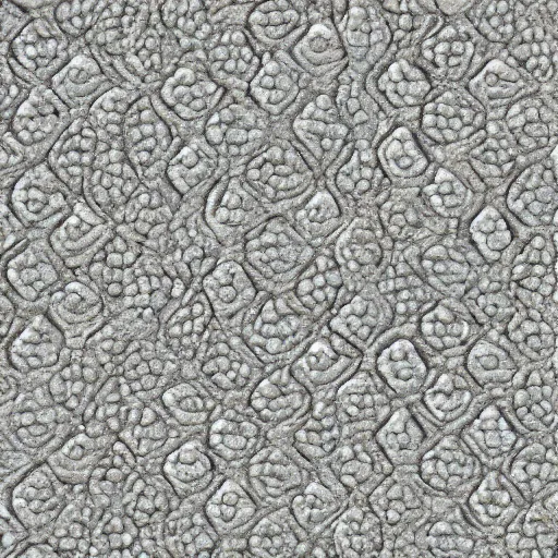 Image similar to stonepunk motherly textured caviar pattern, symmetrical