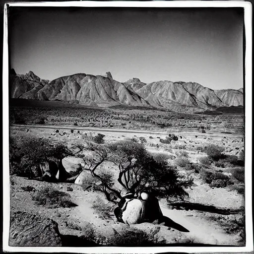 Prompt: “photograph of the valley of the dinosaurs, by Ansel Adams, high contrast, old photo, vignette”