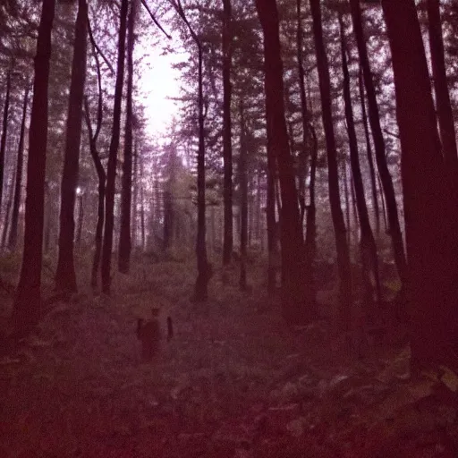 Image similar to grainy trail cam photo still of an alien in the woods at night hiding in the trees of a forest