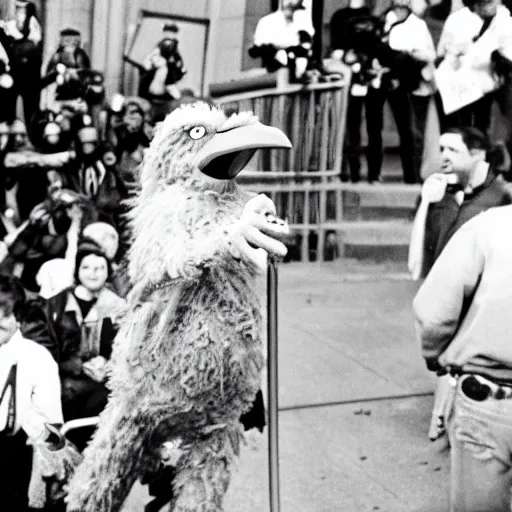 Prompt: a 35mm photo of Big Bird inciting a riot