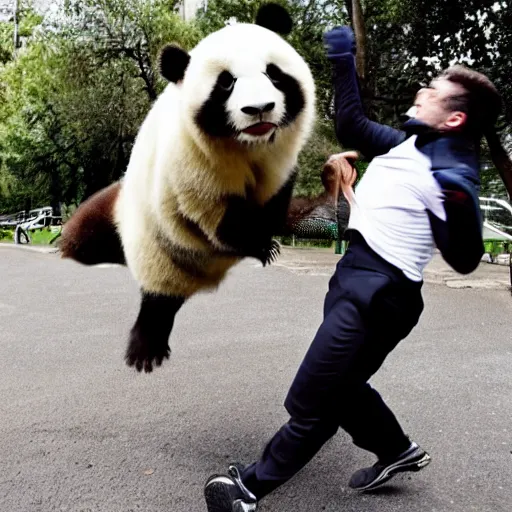 Prompt: Attractive French man getting drop kicked in the face by a cute panda