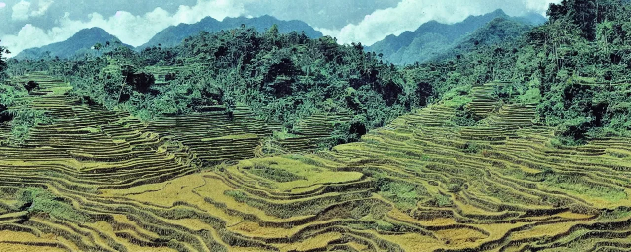 Image similar to a 2D drawing of a beautiful Philippine landscape of the Ifugao Rice Terraces, majestic and exotic by hiroshi yoshida