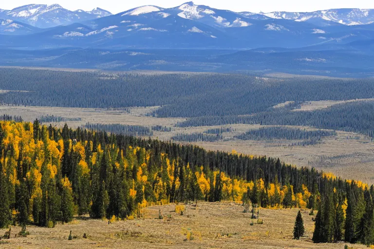 Prompt: A panoramaic view of Montana's wilderness