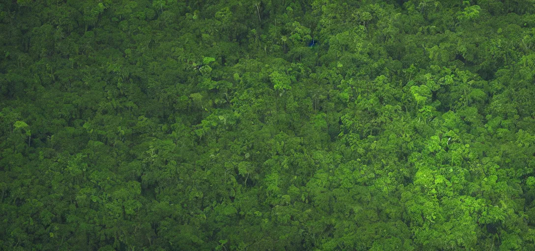 Image similar to a very high resolution image from a new movie. amazon forest. photorealistic, photography, directed by anthony russo