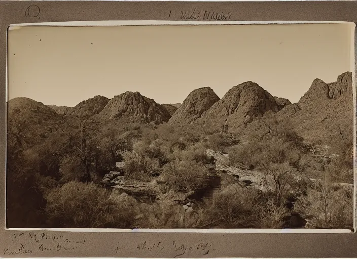 Image similar to View of the Gila river, surrounded by lush desert vegetation and rocky slopes, albumen silver print, Smithsonian American Art Museum