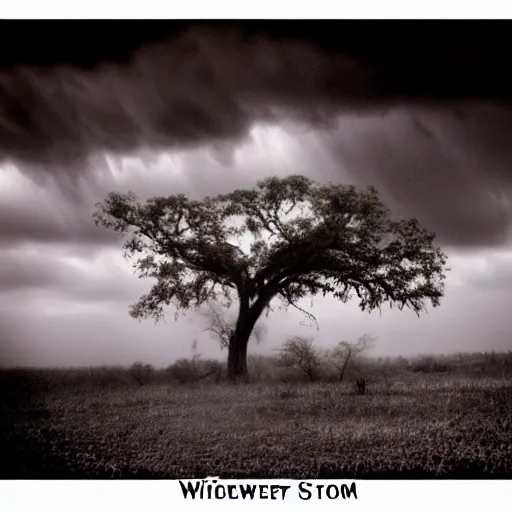 wither storm, Stable Diffusion