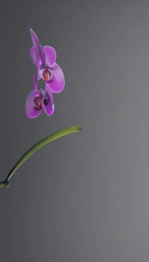 Image similar to still from an a24 film: depth of field raytraced light transmission through misty refracting toroidal orchid mist decaying into chiaroscuro studio lighting while partially submerged in colloid atmosphere, 8K