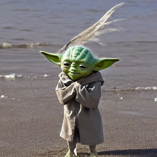 Prompt: sad real life Yoda on a beach, seagulls pecking Yoda head