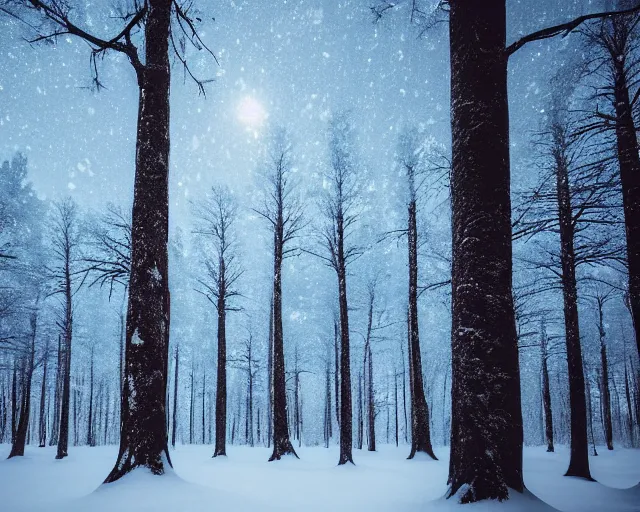 Prompt: a forest filled with lots of snow covered trees at dark blue night, a matte painting by konstantinas ciurlionis, featured on unsplash, tonalism, photo taken with ektachrome, high dynamic range, photo taken with provia