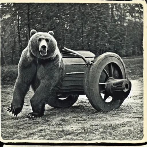 Image similar to a picture of a enormous bear pulling a towed canon on wheel behind him, eastern front, ww 2, historical picture