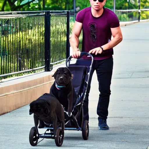 Prompt: pitbull standing pushing a stroller with another pitbull in it at the park