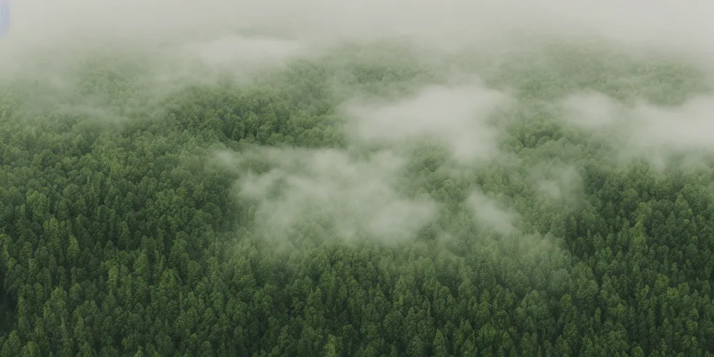 Image similar to aerial photograph of calming fog over the woods on a mountain, green, photorealistic