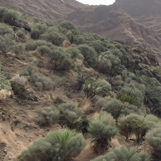 Image similar to inhabitants scream in horror, in gran canaria island