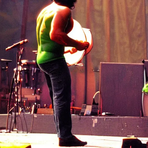 Image similar to hulk performing at woodstock