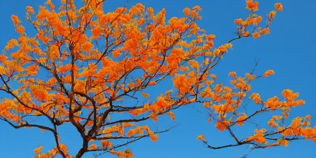 Prompt: a branching orange tree against a bright blue sky