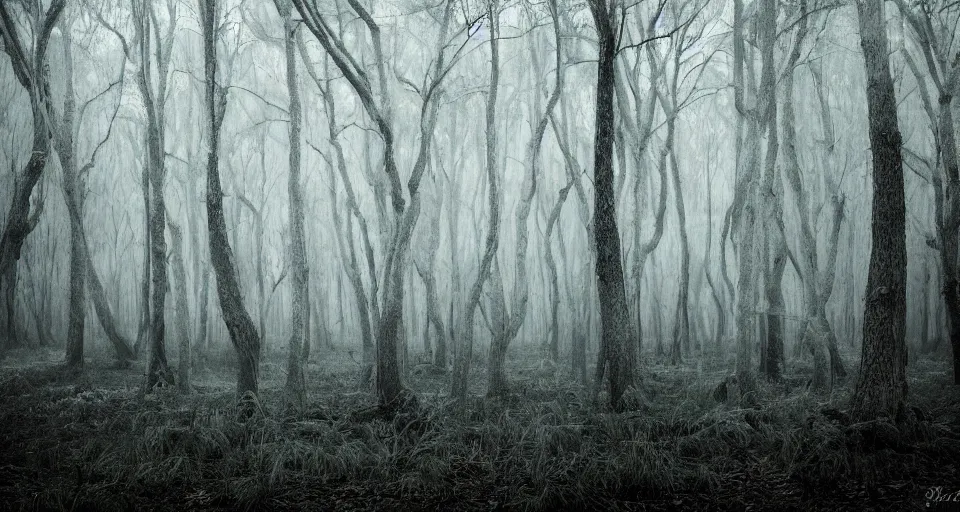 Image similar to A dense and dark enchanted forest with a swamp, by 500px