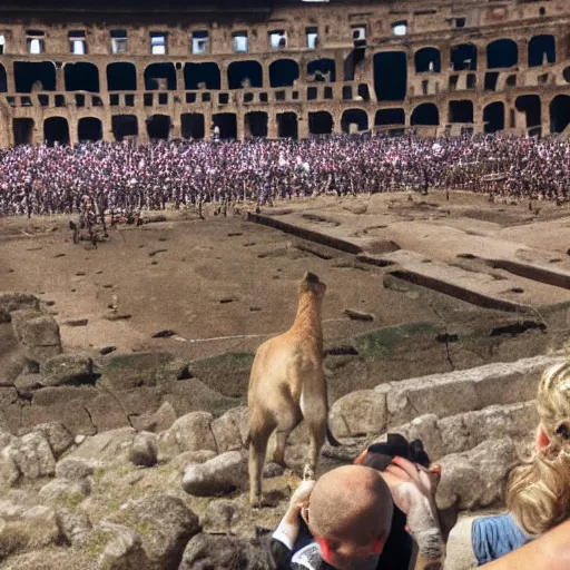 Prompt: animal in the stand of a colosseum watching gladiators fight