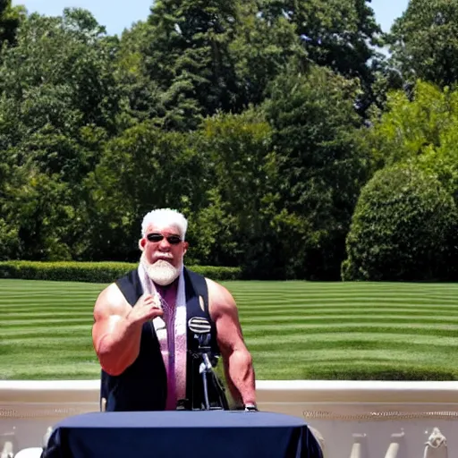 Prompt: realistic photo of big poppa pump scott steiner with no shirt and a chainmail coif standing behind the podium during a press conference at the white house rose garden