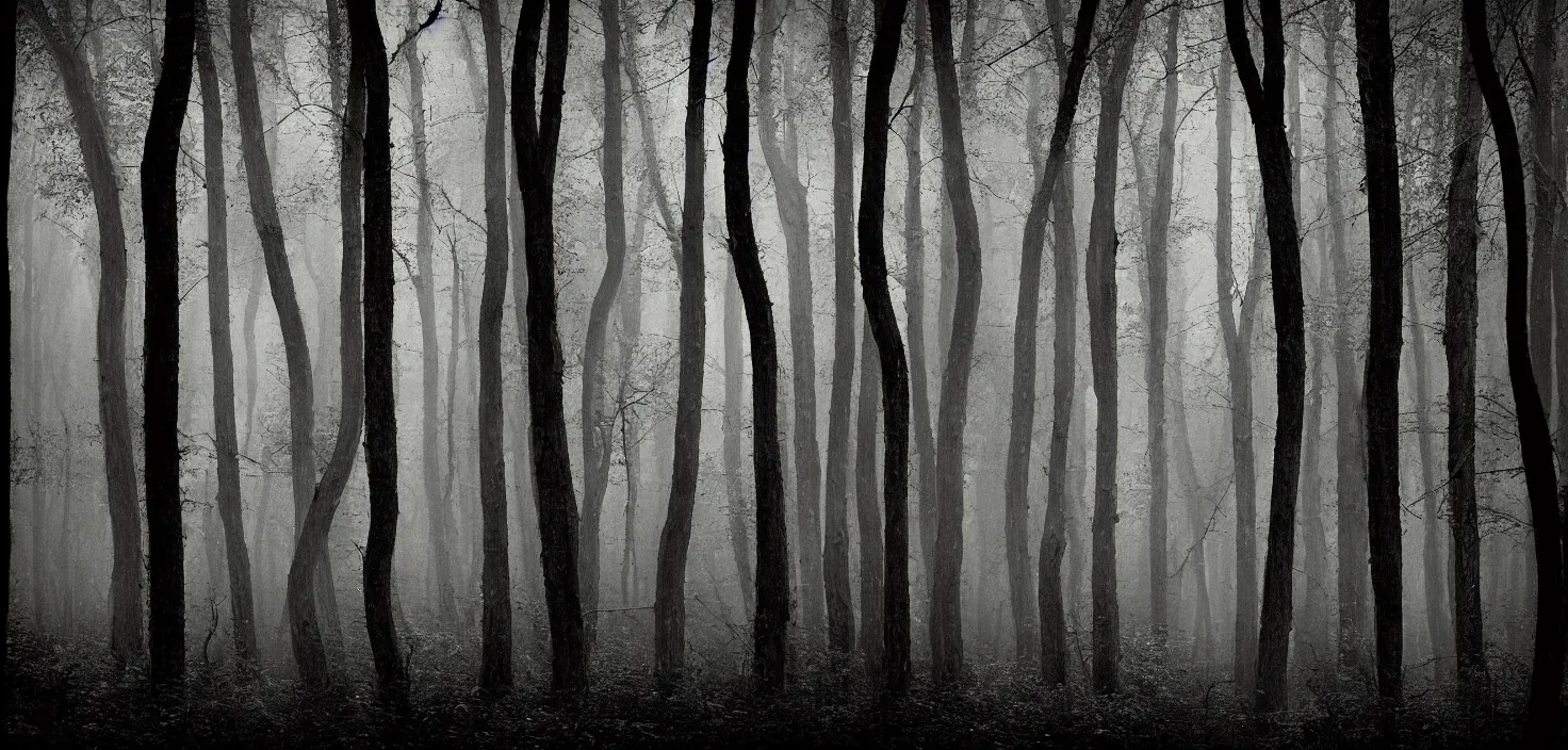 Image similar to dark forest by gerard justin