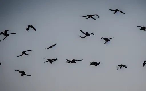 Image similar to sky full of crows, canon eos r 3, f / 1. 4, iso 2 0 0, 1 / 1 6 0 s, 8 k, raw, unedited, symmetrical balance, in - frame,