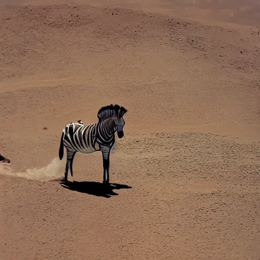 Prompt: photo of princess diana riding a zebra on mars, high resolution, 3 5 mm lens