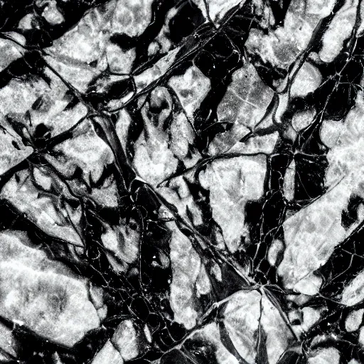 Image similar to detail of a cracked black marble surface, macro photography