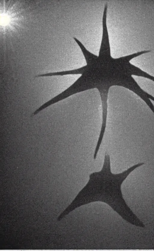 Image similar to light coming out of one starfish - like kaiju anthropomorphic monster, korean film noir by kim jong - il, korean traditional palace, pyongyang city, 1 9 6 0 s, red color bleed, 4 k, video compression, video glitch, monochrome, akira kurosawa, mamoru oshii, wes anderson, stanley kubrick