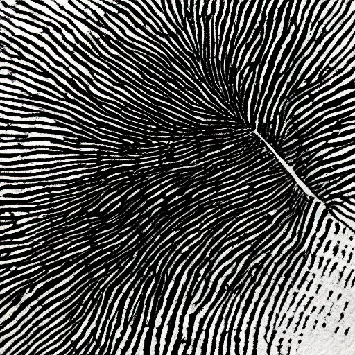 Prompt: a smudged fingerprint, ink on white paper