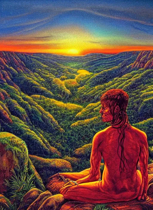 Prompt: an shaman sitting at the top of a cliff, looking down at the valley, doing a vision quest, beautiful sunset, art by alex gray