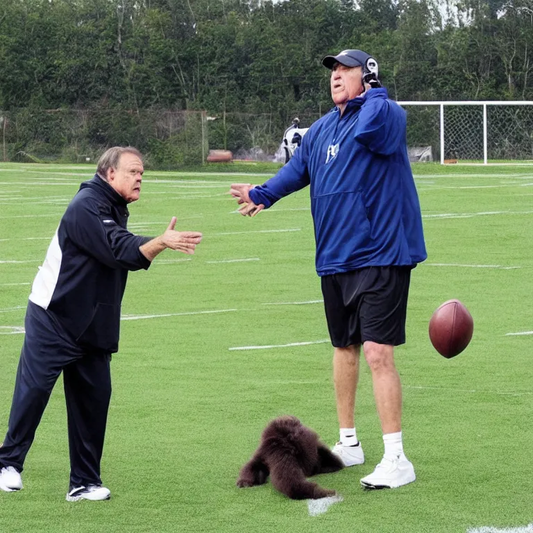 Image similar to A frustrated coach Belichick attempting to teach a sloth to play football