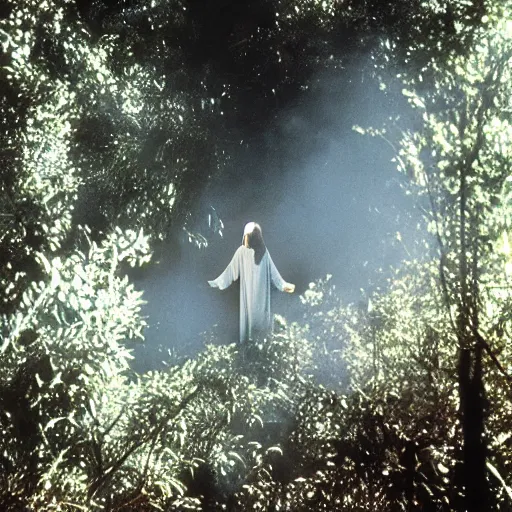 Prompt: photograph of jesus christ, floating over a burning jungle, kodachrome, 1 9 6 0 s, unnsettling