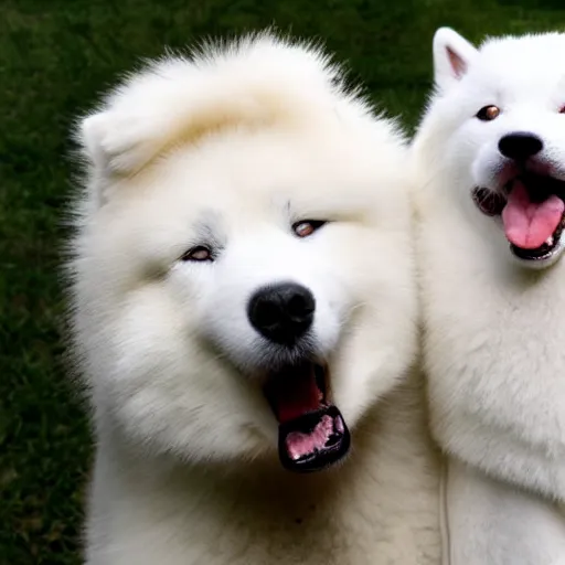 Image similar to A photo of a Samoyed dog with its tongue out hugging a white Siamese cat