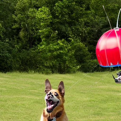 Image similar to a dog parachuting from a helicopter, stock photo