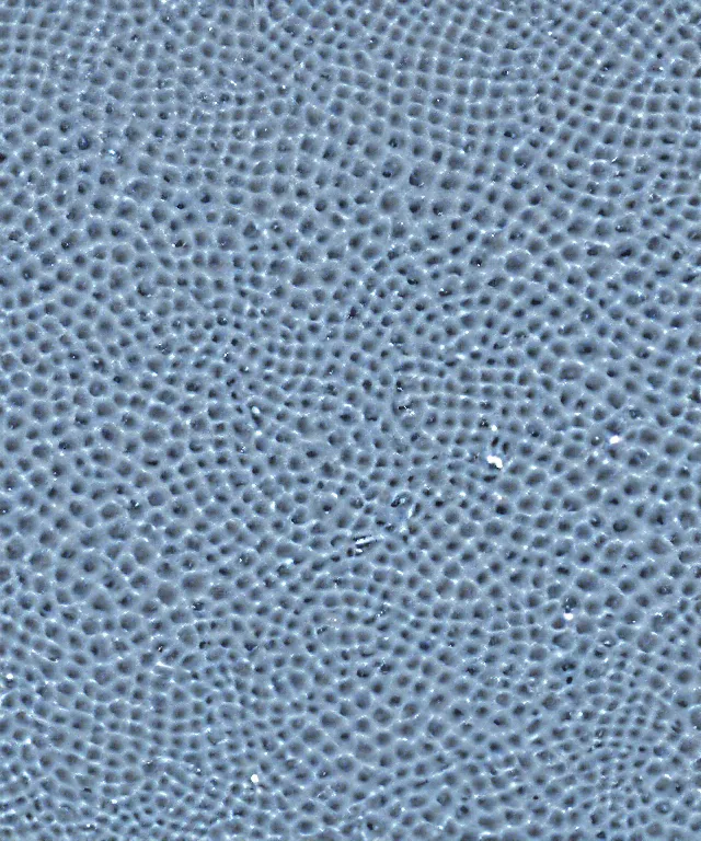 Image similar to quantum foam